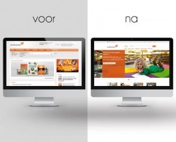 Freelance UI UX onderzoeker designer Biblionet Bibliotheken Drenthe